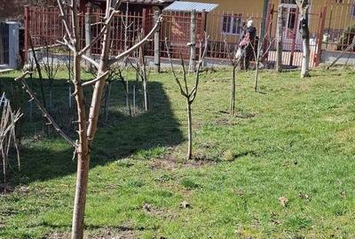 Casă cu 2 camere în Dâmbul Rotund - 1