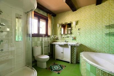 Casa de vis intr-o oaza de lini?te Bodrogul Nou, Arad - 1