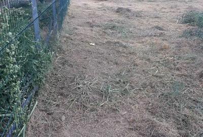 Teren de 500 mp, în Nord - 3