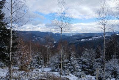 Teren de 15000 mp, în Fundu Moldovei - 2
