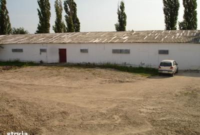 Teren de 180000 mp, în Gai - 7