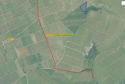 Vrancea / Panciu teren agricol 5000mp - 1