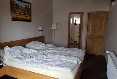 Vanzare proprietate mobilata ?i utilata, situata in sta?iunea montana Ranca - 6