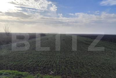 Teren de 15000 mp, în Miroslava - 3