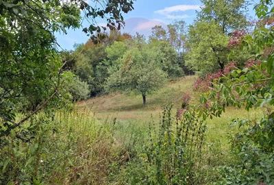 Teren de vanzare 990mp in Barzava, jude?ul Arad - 4