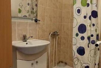 Si pentru clienti cu animal decompanie - garsoniera Podu Ros Mathaus