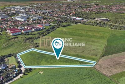Teren Construcții intravilan de 11500 mp, în Sânnicolau Mic - 2