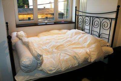 Mosilor : Studio spatios de 52mp, bloc 2008, aflat intr-o zona de exceptie ! - 5