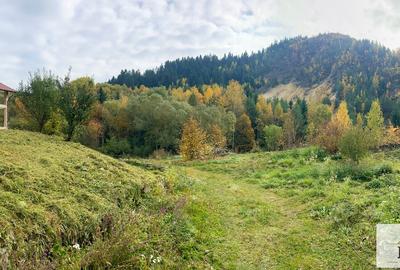 Vanzare casa in Rosia Montana - Muntii Apuseni - 10