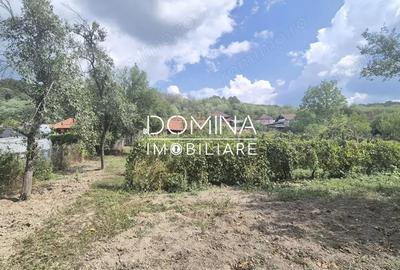 Casă cu 3 camere cu Teren 1565 Mp în Bengești - 3