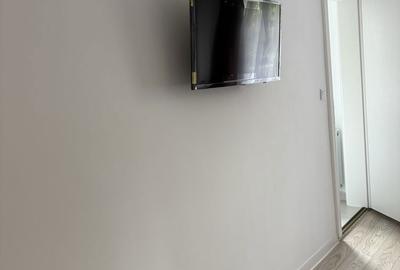 Garsonieră decomandată în Badea Cârțan - 1