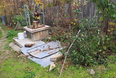 Vand casa su gradina , Baiceni , Judetul Iasi - 7