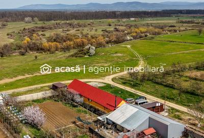 Casă individuală cu 3 camere cu Canalizare în Frumușeni - 3