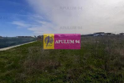 Teren 450mp pentru construc?ie casa - 7