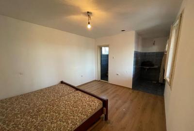 Investitie pentru liniste si oaza de verdeata - 12