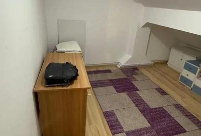 Apartament cu 3 camere semidecomandat, mobilat în Steaua - 5