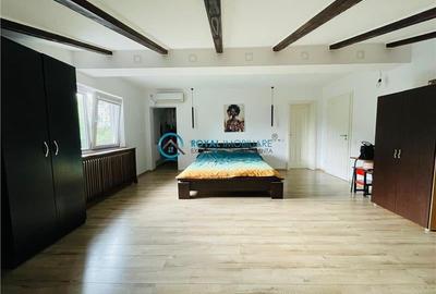 Royal Imobiliare - Vanzare Vila cu 6 camere zona B-dul Bucuresti - 13