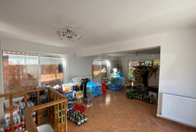 Spa?iu comercial 2 corpuri, curte 500 mp ?i terasa 220 mp - 2