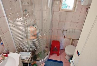 EXCLUSIVITATE! Casa+teren si cabana de lemn zona Naeni - 10