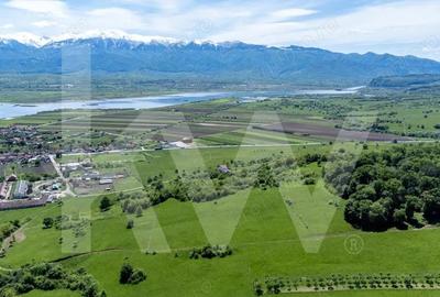 Bradu, Sibiu terenuri 500 mp cu priveli?te la mun?i ?i rau, doar 8.000 - 6