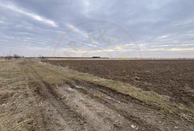 Teren 8973 mp intravilan loc. Albota, jud. Arges. Comision 0% - 4