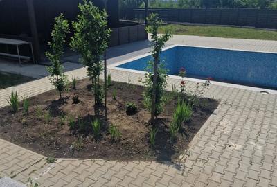 Casă cu 4 camere cu Teren 2252 Mp în Coșula - 2