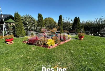 Teren Construcții intravilan de 11000 mp, în Tătăruși - 3