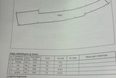 Teren De Vanzare - 3