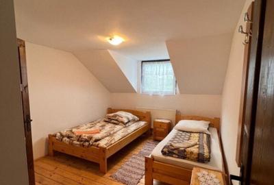 Cabana de 210mp, 2600 mp teren, in Rachitele - 10