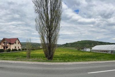 Teren de 4000 mp, în Oituz - 5