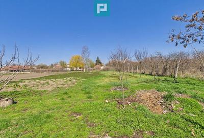 Casa cu 3 camere langa frontiera Turnu - 14