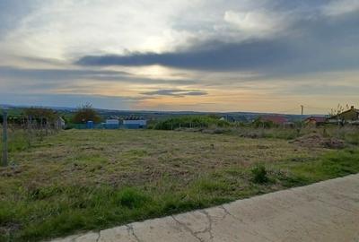 Teren intravilan de 974 mp, în Vișan - 2