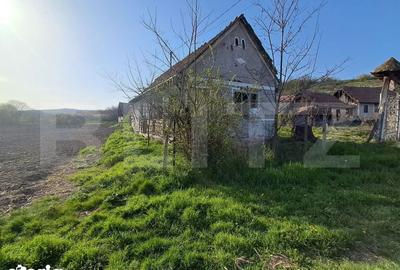 Casă cu 4 camere cu Teren 15000 Mp în Bichiș - 13