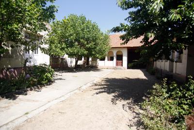 Casă individuală cu 4 camere cu Teren 2471 Mp în Hitiaș - 2