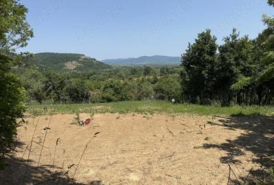 Teren de 2294 mp, în Joia Mare - 7