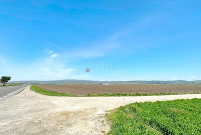 Teren Industrial - 5