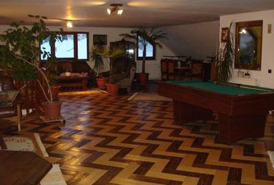 Proprietar, vila cu piscina construita 2005, renovata  2019, inchiriata 2027 - 10