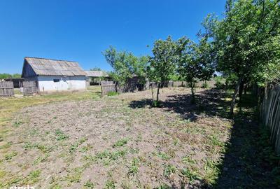 Casă cu 4 camere în Homorog - 4