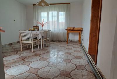 Casa mare cu 2 spatii comerciale, in Faget - 33