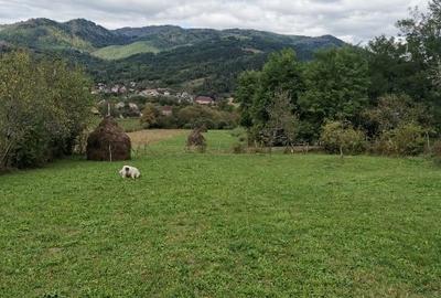 Teren intravilan la munte  Valea Ariesului comuna Salciua jud Alba - 3