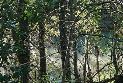 Spațiu comercial, în Ciolpani - 2