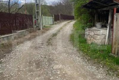 Teren de 784 mp, în Nistorești - 1