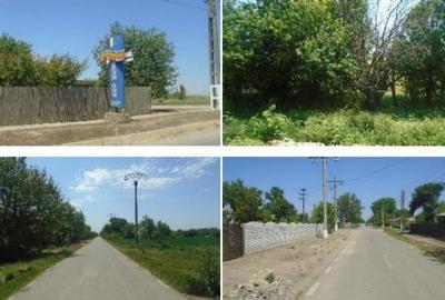 Casă cu 3 camere cu Teren 2877 Mp în Mihai Bravu - 2