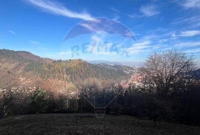 Teren Colinar Panoramic - 17.684 mp in Scheii Brasovului - 16