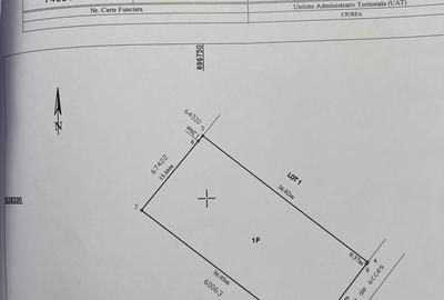 Spațiu comercial, în Central