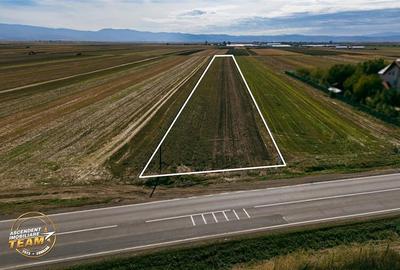 Teren Construcții intravilan de 7500 mp, în Cernat - 3