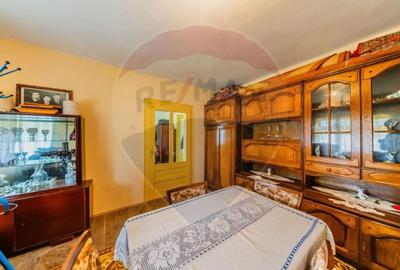 Casă cu 2 camere cu Teren 4500 Mp în Cărand - 12