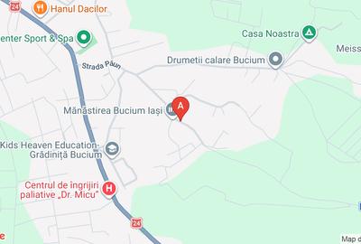 Teren Construcții intravilan de 5000 mp, în Bucium - 1