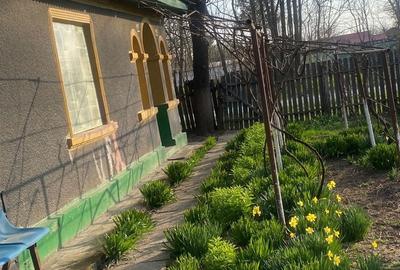 Casă cu 3 camere în Floroaica - 1