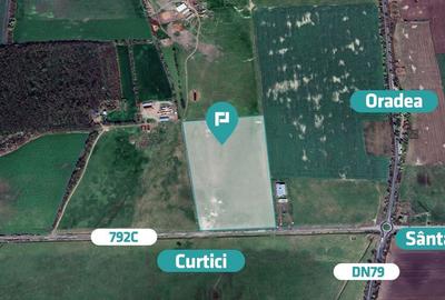 Teren de 105700 mp, în Șimand - 4